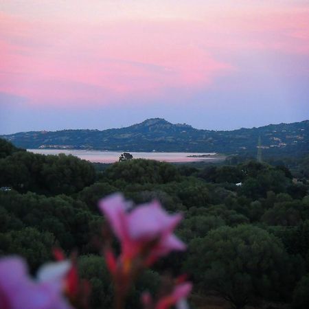 Agriturismo Sa Mendhula كوغنانا الغرفة الصورة