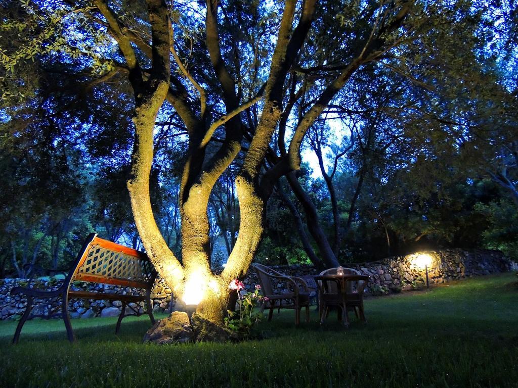 Agriturismo Sa Mendhula كوغنانا الغرفة الصورة