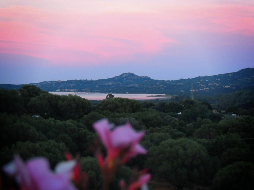 Agriturismo Sa Mendhula كوغنانا الغرفة الصورة
