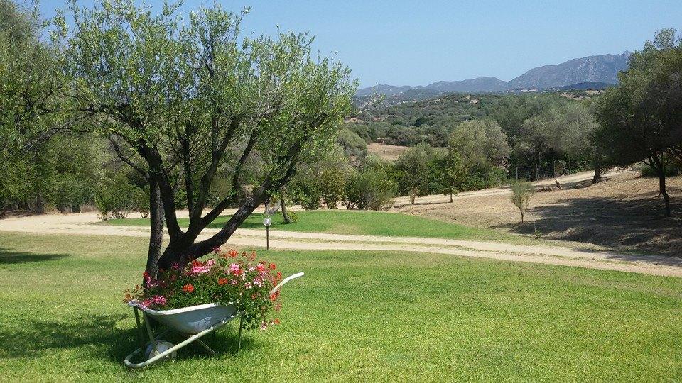 Agriturismo Sa Mendhula كوغنانا المظهر الخارجي الصورة