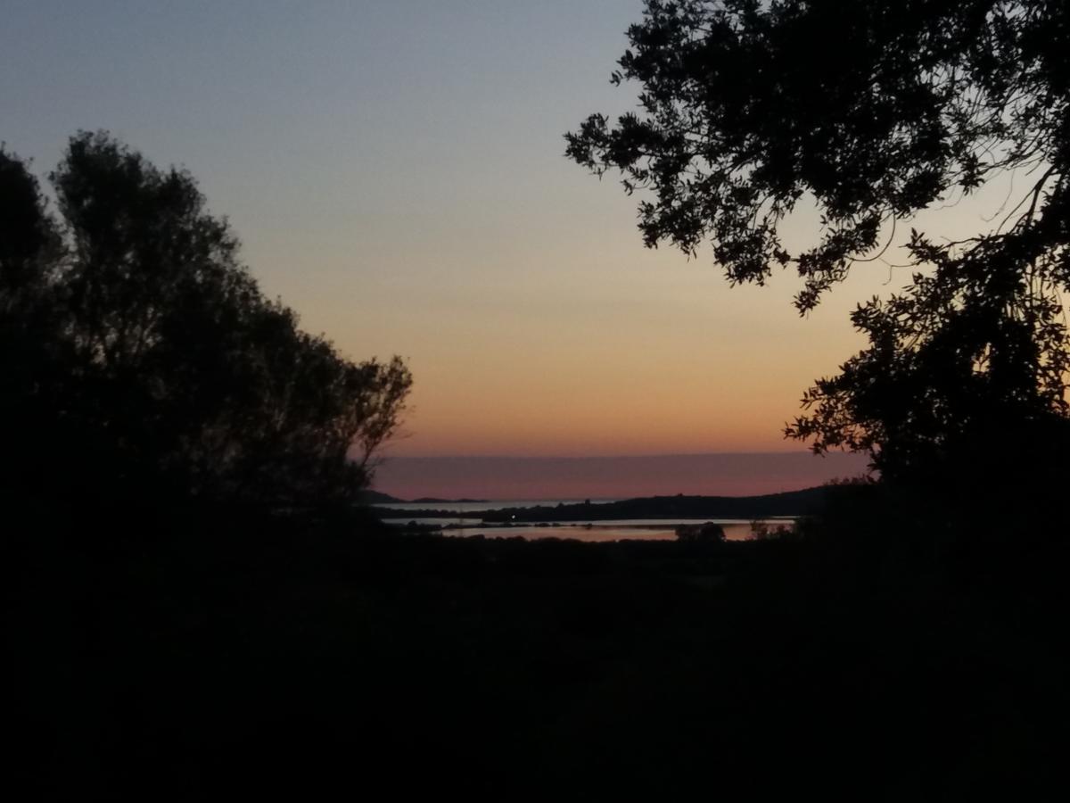 Agriturismo Sa Mendhula كوغنانا المظهر الخارجي الصورة