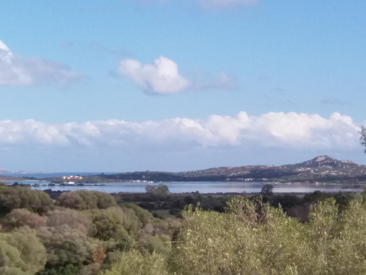 Agriturismo Sa Mendhula كوغنانا المظهر الخارجي الصورة