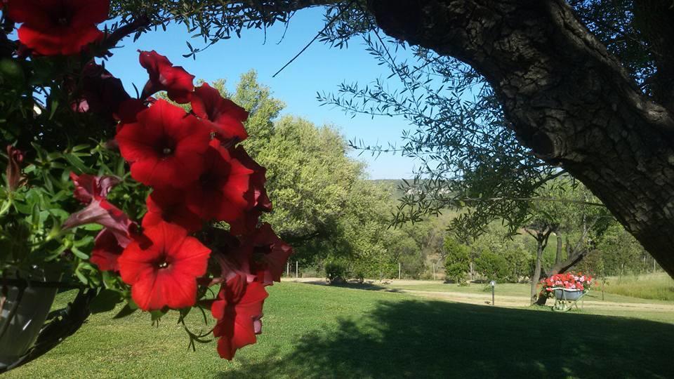 Agriturismo Sa Mendhula كوغنانا المظهر الخارجي الصورة