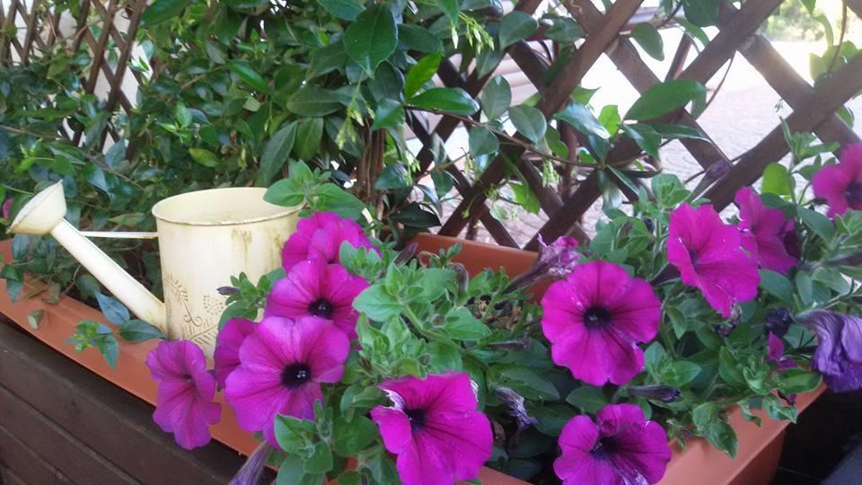 Agriturismo Sa Mendhula كوغنانا المظهر الخارجي الصورة