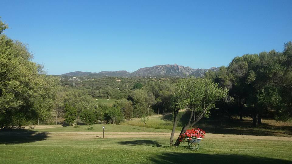 Agriturismo Sa Mendhula كوغنانا المظهر الخارجي الصورة