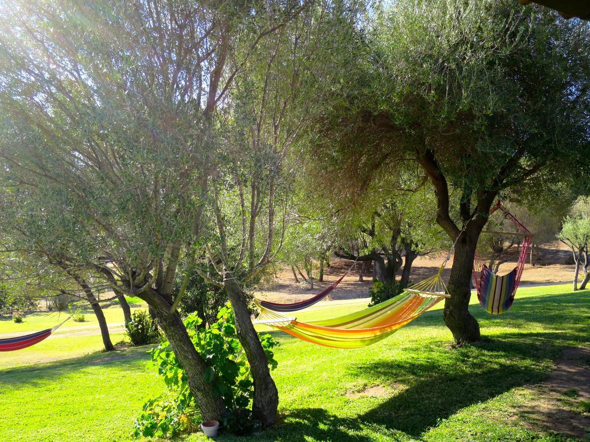 Agriturismo Sa Mendhula كوغنانا المظهر الخارجي الصورة