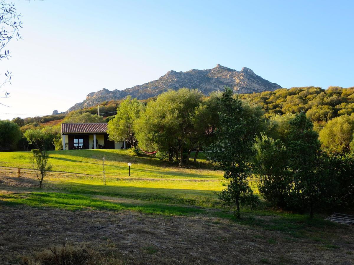 Agriturismo Sa Mendhula كوغنانا المظهر الخارجي الصورة