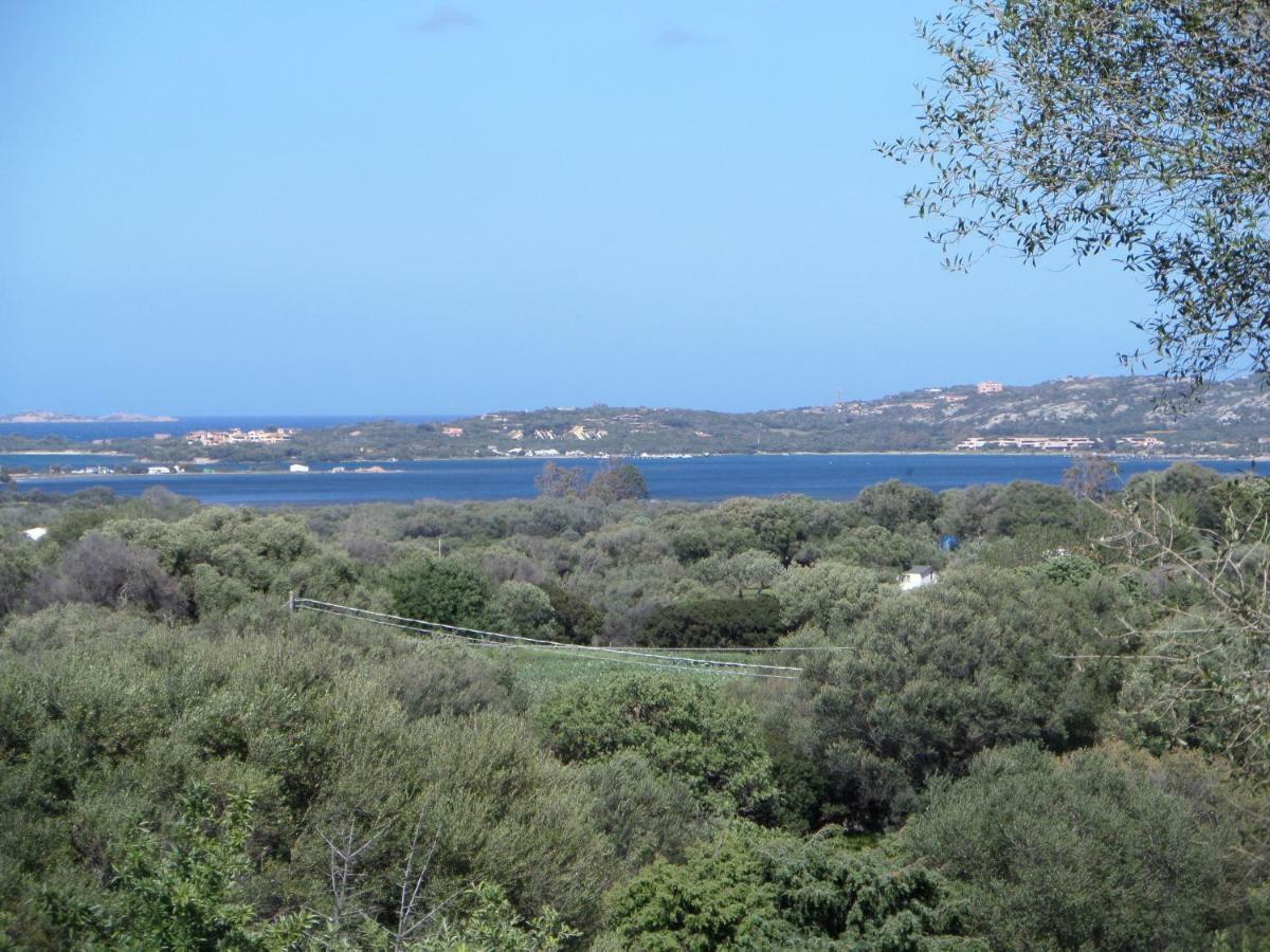 Agriturismo Sa Mendhula كوغنانا المظهر الخارجي الصورة