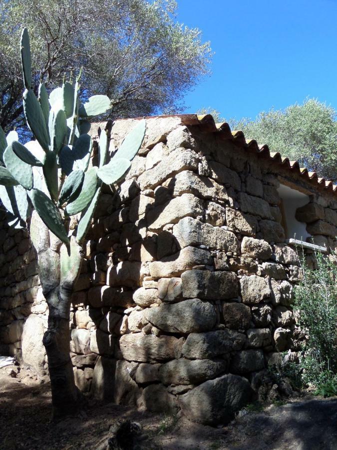 Agriturismo Sa Mendhula كوغنانا المظهر الخارجي الصورة